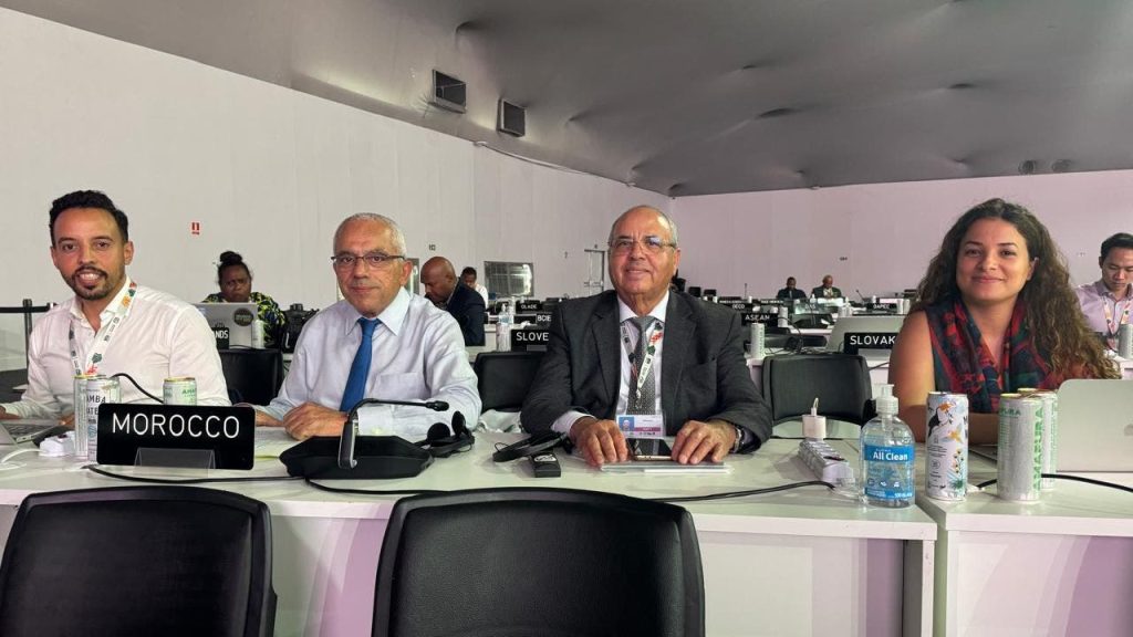 معزوز يكشف عن استراتيجية الدار البيضاء للتنقل المستدام في "كوب 30"