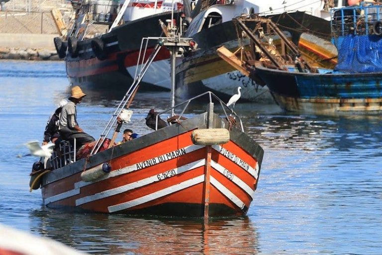 سرقة مراكب الصيد بأكادير: ظاهرة تهدد الأمن البحري والاقتصاد الأزرق