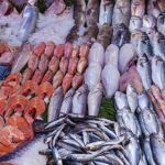 تراجع أسعار الأسماك في ميناء أكادير بعد تحسن الأحوال الجوية