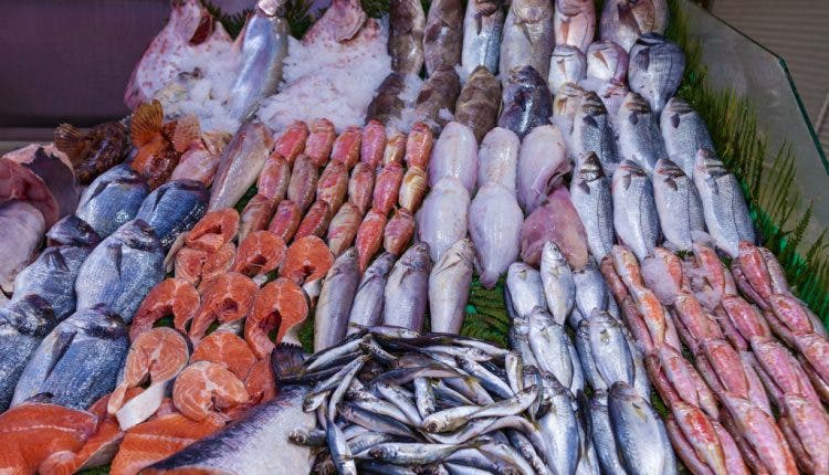 تراجع أسعار الأسماك في ميناء أكادير بعد تحسن الأحوال الجوية