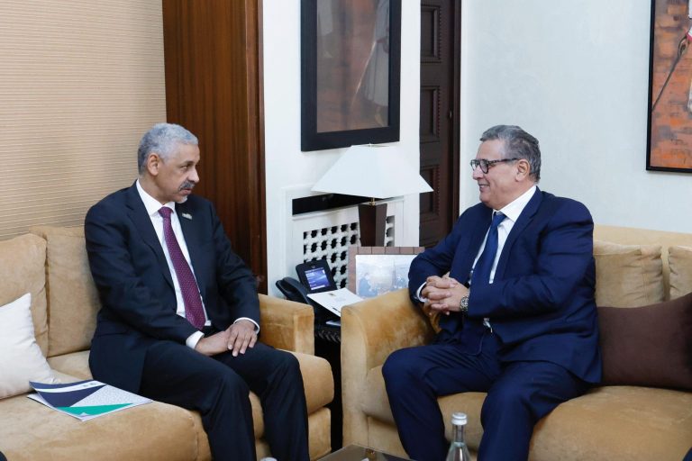 أخنوش يبحث مع رئيس البنك الإفريقي للتنمية تعزيز الشراكة الاستراتيجية مع المغرب