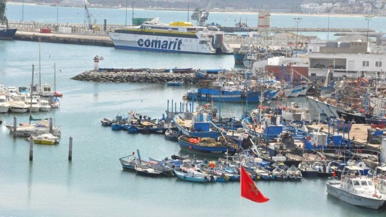 تراجع في مفرغات ميناء طنجة مع ارتفاع القيمة التجارية