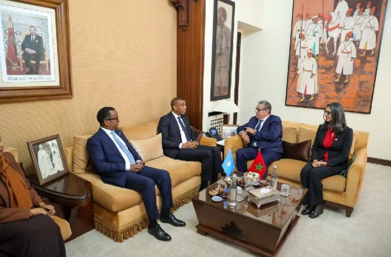 أخنوش يبحث مع رئيس وزراء الصومال سبل تعزيز العلاقات الثنائية