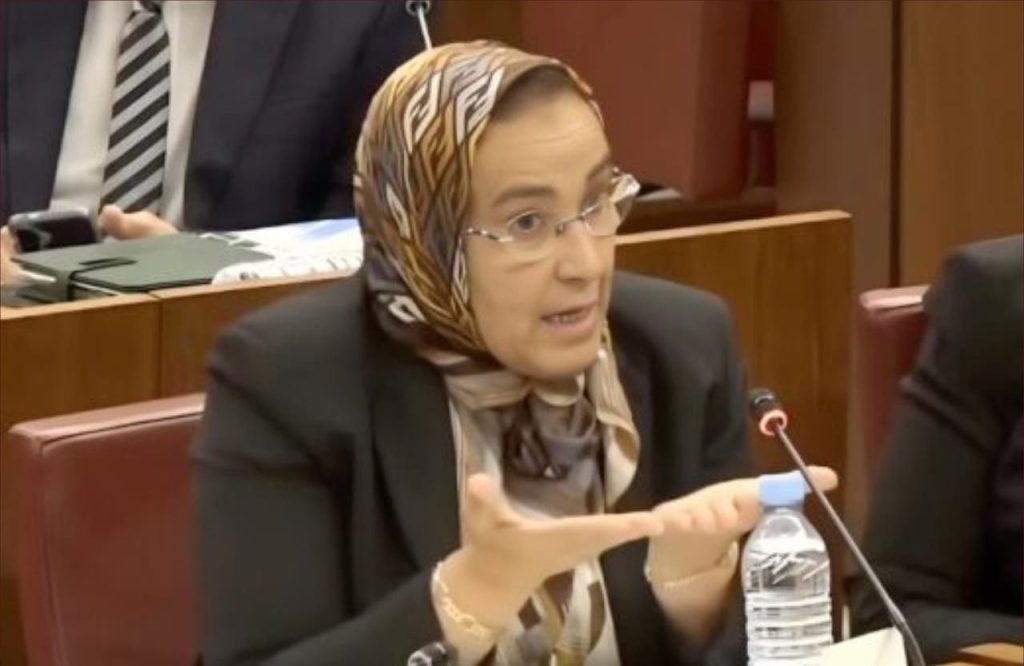 الزومي: “الحل الوحيد لحل أزمة صناديق التقاعد هو نوظفو الناس”