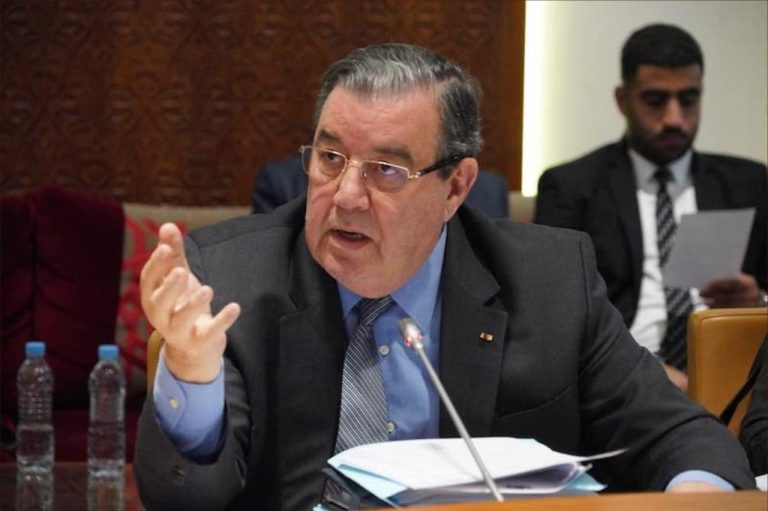 السنتيسي ينتقد سلوك برلمانيين: "يتسابقون لتقديم طلبات خاصة للوزراء"