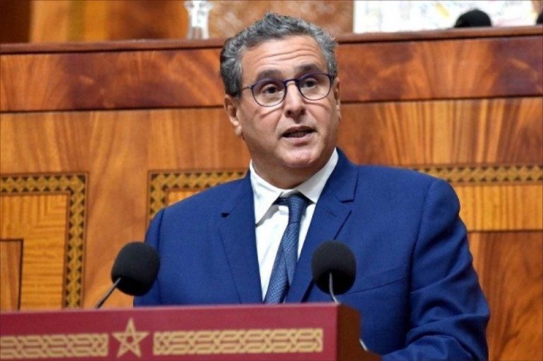 أخنوش: الملك يقود مسيرة تنموية لضمان كرامة المواطن المغربي