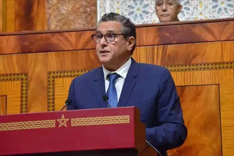 أخنوش: مشروع تحلية مياه الداخلة يوشك على الاكتمال