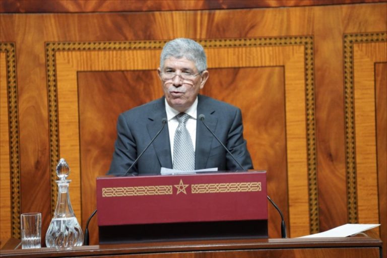 التويزي: الحكومة حققت نجاحات رغم التحديات الاقتصادية