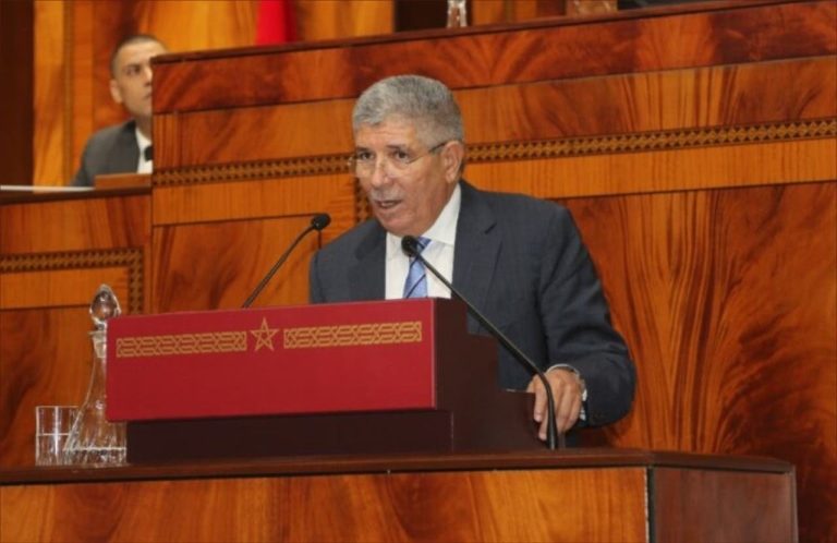 التويزي: الحكومة "لا تخاف" وتعمل على مراجعة نظام الدعم الاجتماعي