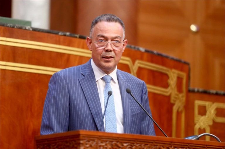 لقجع: الحكومة تسعى لتصحيح اختلالات برامج الدعم الاجتماعي والصحي