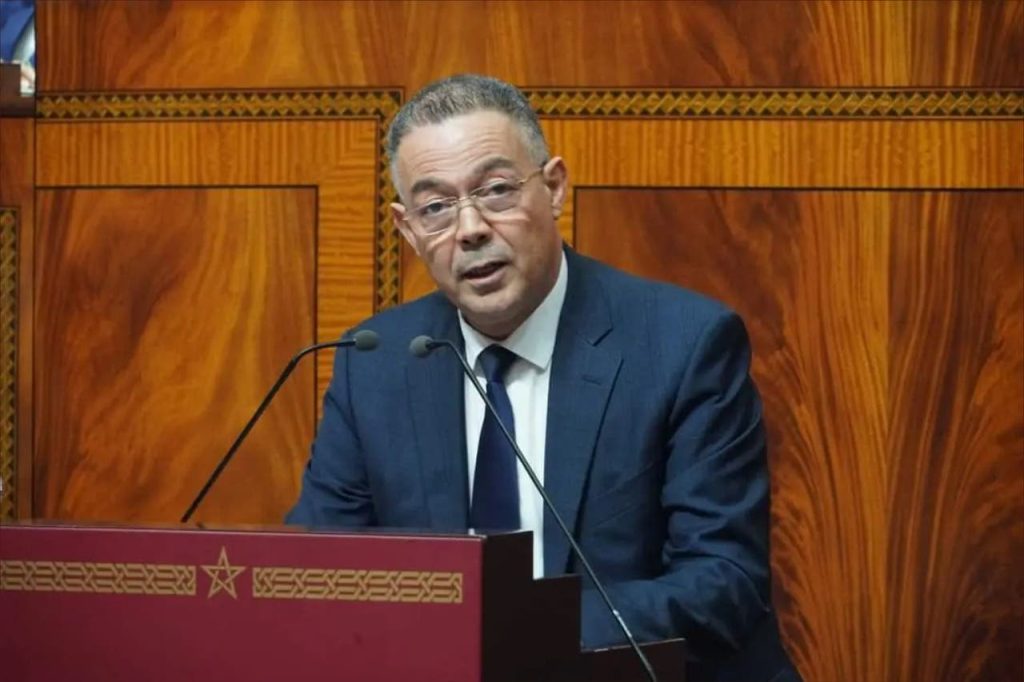 لقجع: الحكومة تلتزم بعدم اللجوء إلى الخوصصة