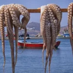 حملة أمنية بالداخلة تُحبط محاولات صيد غير قانوني للأخطبوط