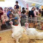 انطلاق فعاليات الدورة الـ26 لمعرض "دواجن" بالجديدة بحضور وازن