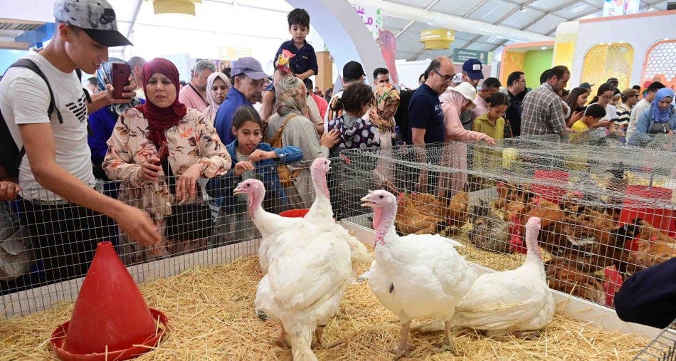 انطلاق فعاليات الدورة الـ26 لمعرض "دواجن" بالجديدة بحضور وازن