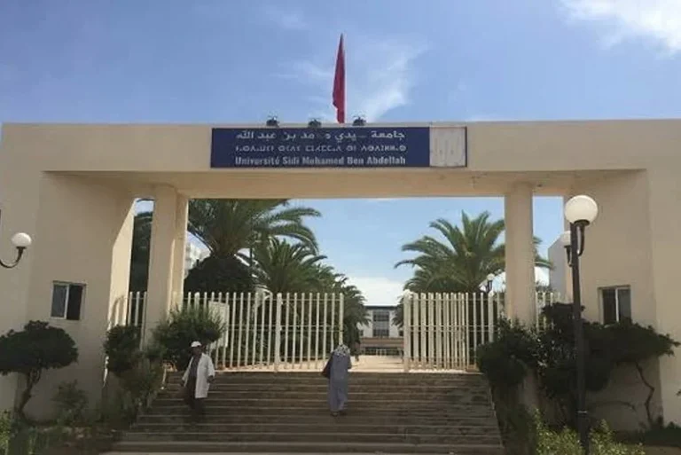 ندوة دولية بتازة حول دور اللسانيات التنموية في تعزيز التنمية الشاملة