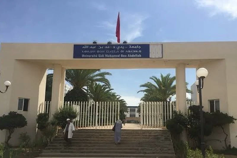 ندوة دولية بتازة حول دور اللسانيات التنموية في تعزيز التنمية الشاملة