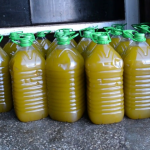 انخفاض قياسي في أسعار زيت الزيتون بالمغرب.. والتوقعات بمزيد من التراجع