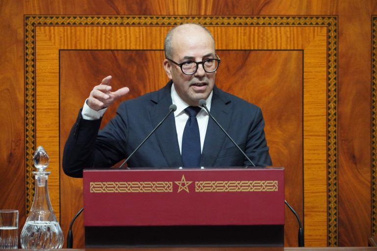 البواري: "المغرب الأخضر" يحمي المزروعات والقطيع رغم الجفاف التاريخي